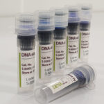 DNA سایز مارکر لدر دنازیست  ( DENAzist DNA size marker) تخفیف