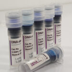 DNA سایز مارکر لدر دنازیست  ( DENAzist DNA size marker) تخفیف